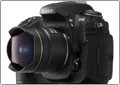 ����������� ����� Nikon �� 2009-2010