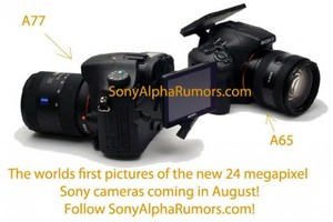 :  Sony Alpha A77  A65