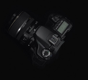     Canon 40D