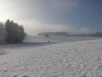 zima 2009