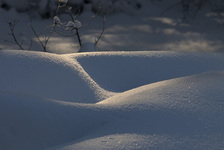 shadow of a snowdrift