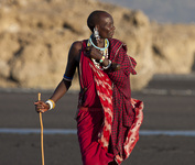 Masai beauty