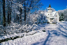 White house, white winter