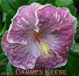011 - Carmen Keene