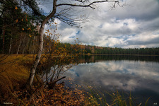forest lake in autumn