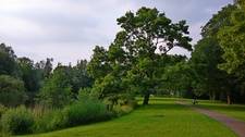 Flora Park 