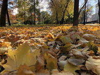 Осень на бульварах Столицы...