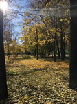 Осень на бульварах Столицы...\2