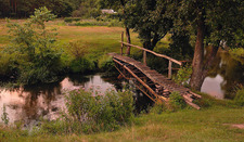 ����� ������