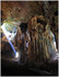 Gomantong Caves. Sabah. Malaysia.