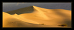 Golden Dunes