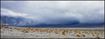 Storm over Owens Valley