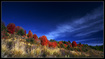 Autumn colours of Idaho